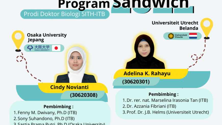 Pengumuman Hasil Seleksi Program Sandwich